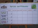 Grest_2-7 083